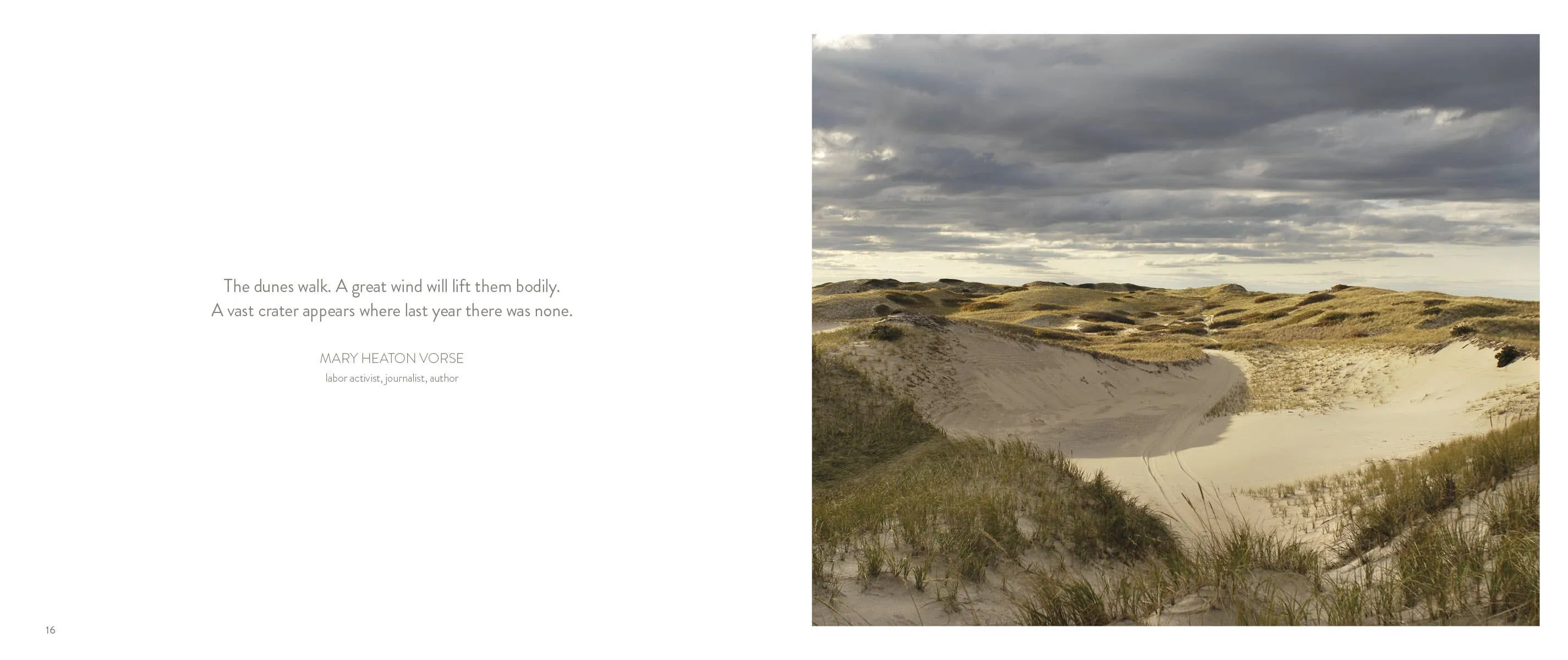 Dune Shacks of Provincetown